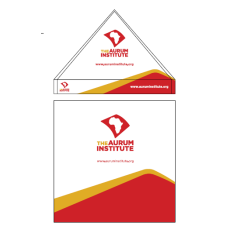 White Roof with White Sides and Red and Gold Accent Colour